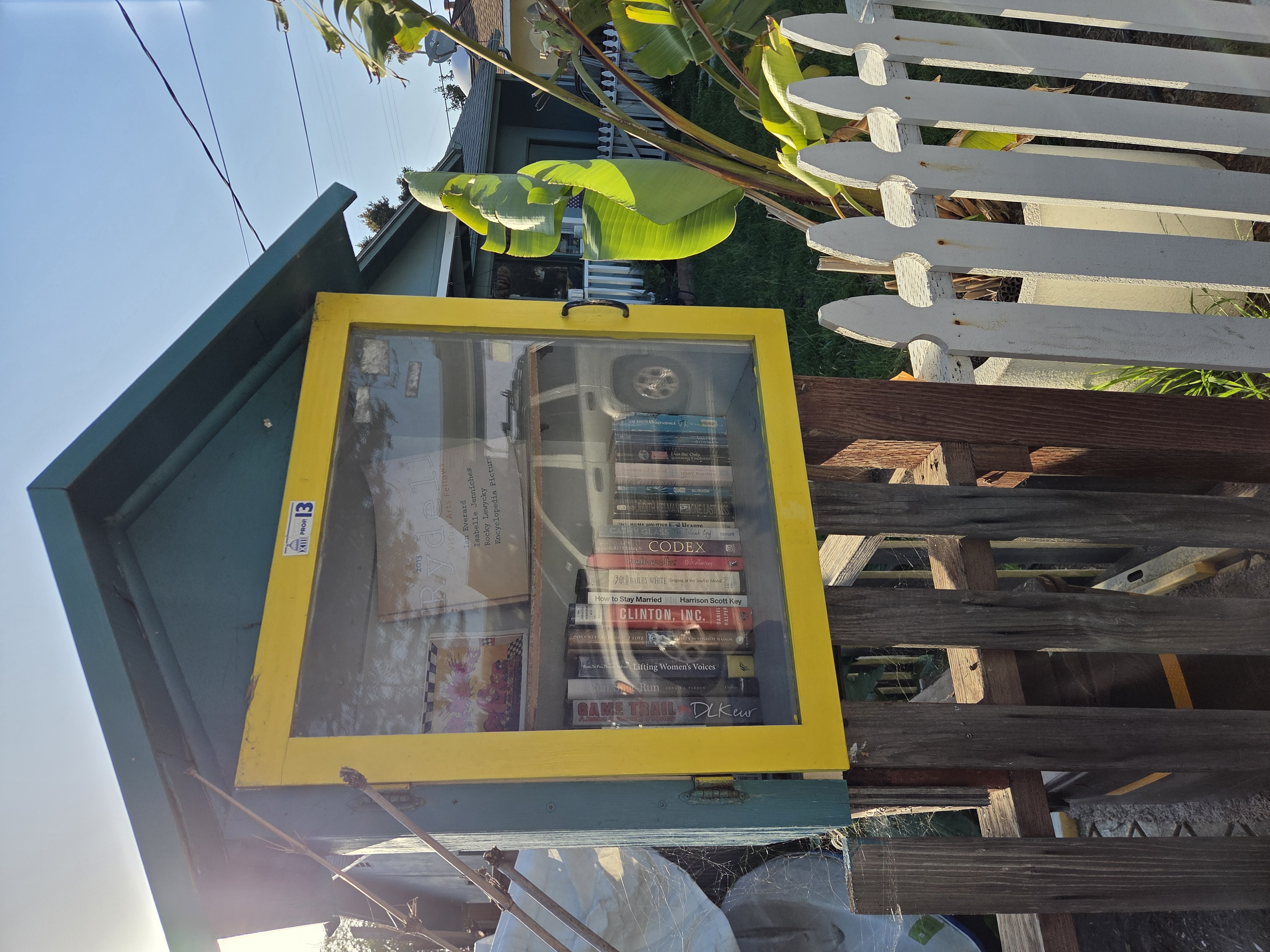 Little Library 1