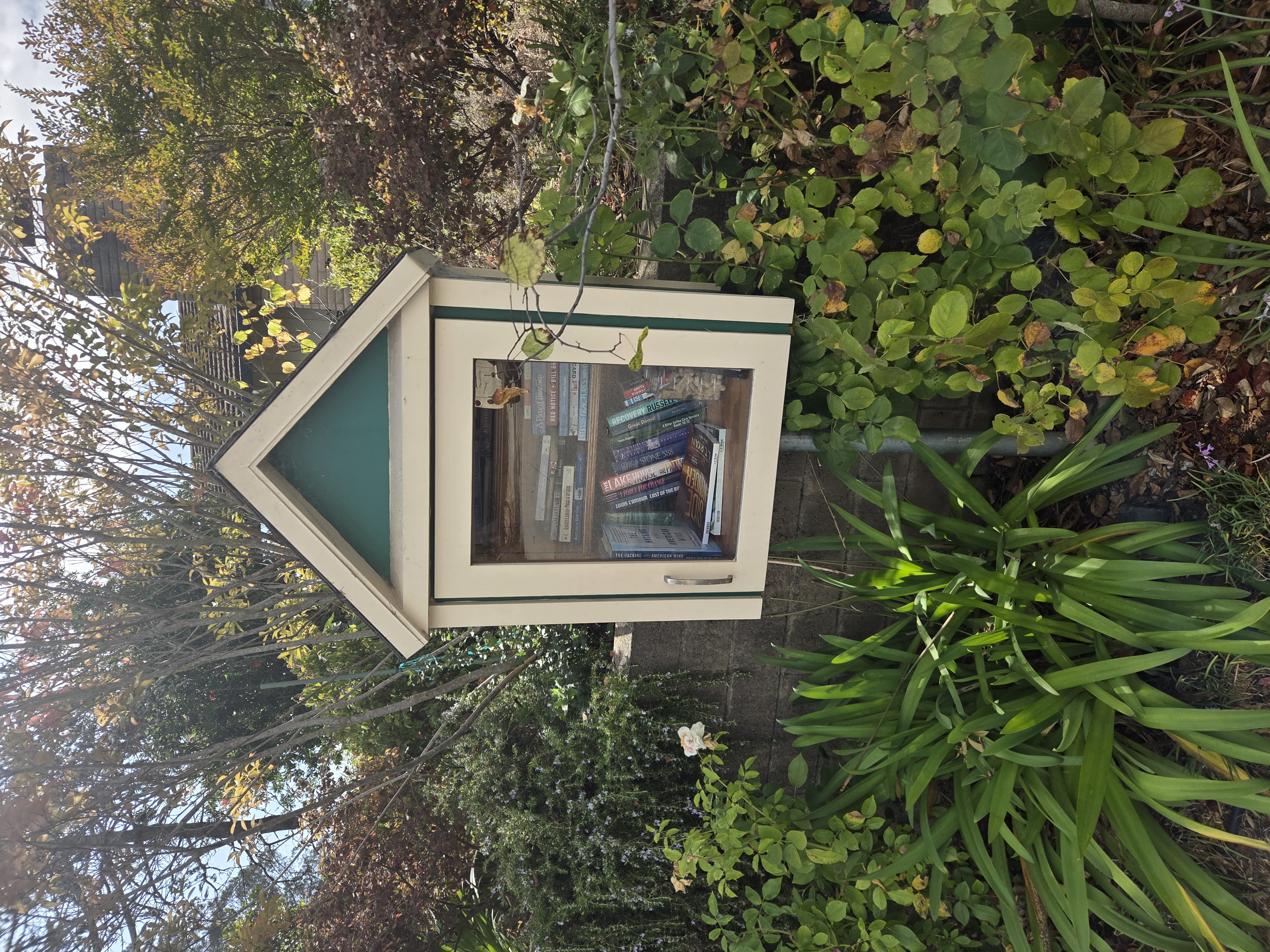 Little Library 2