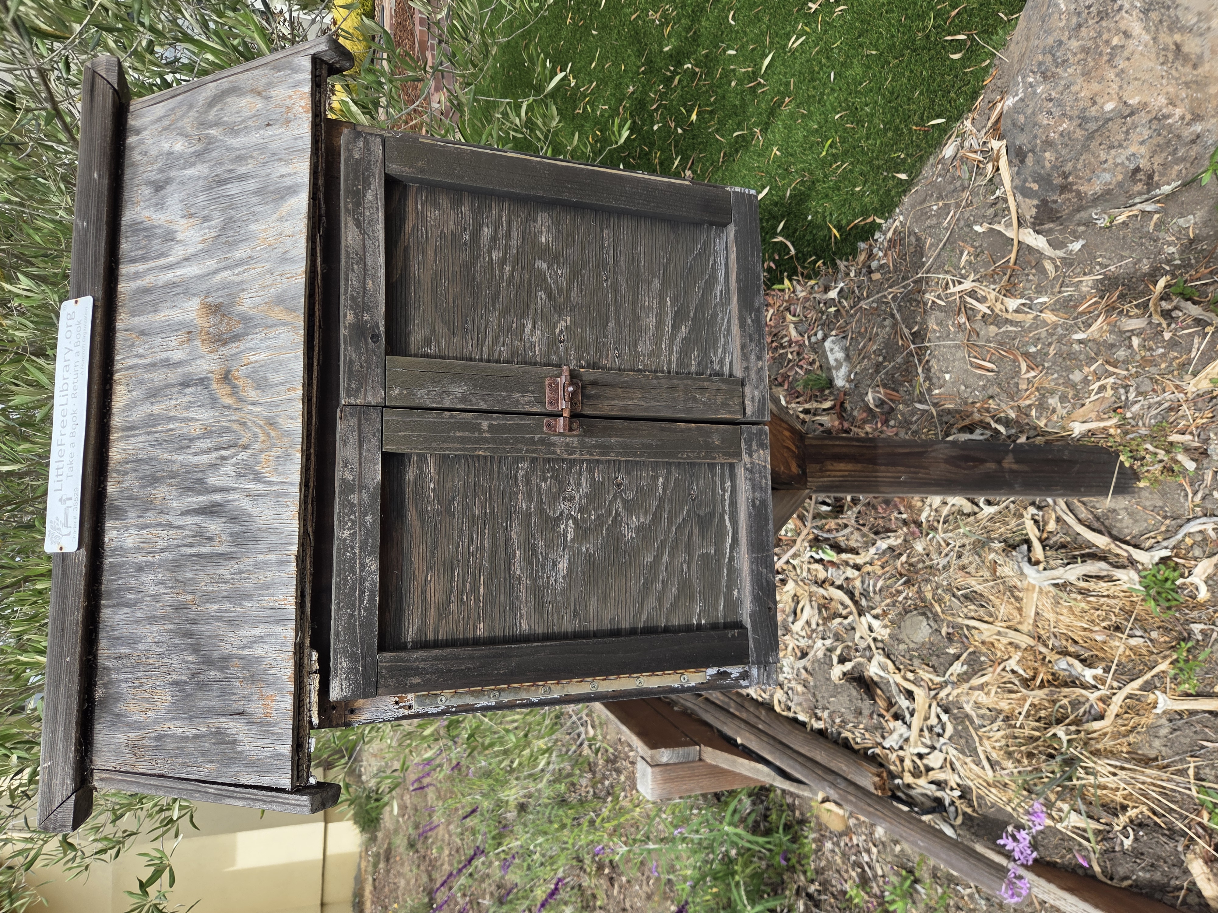 Little Library 3