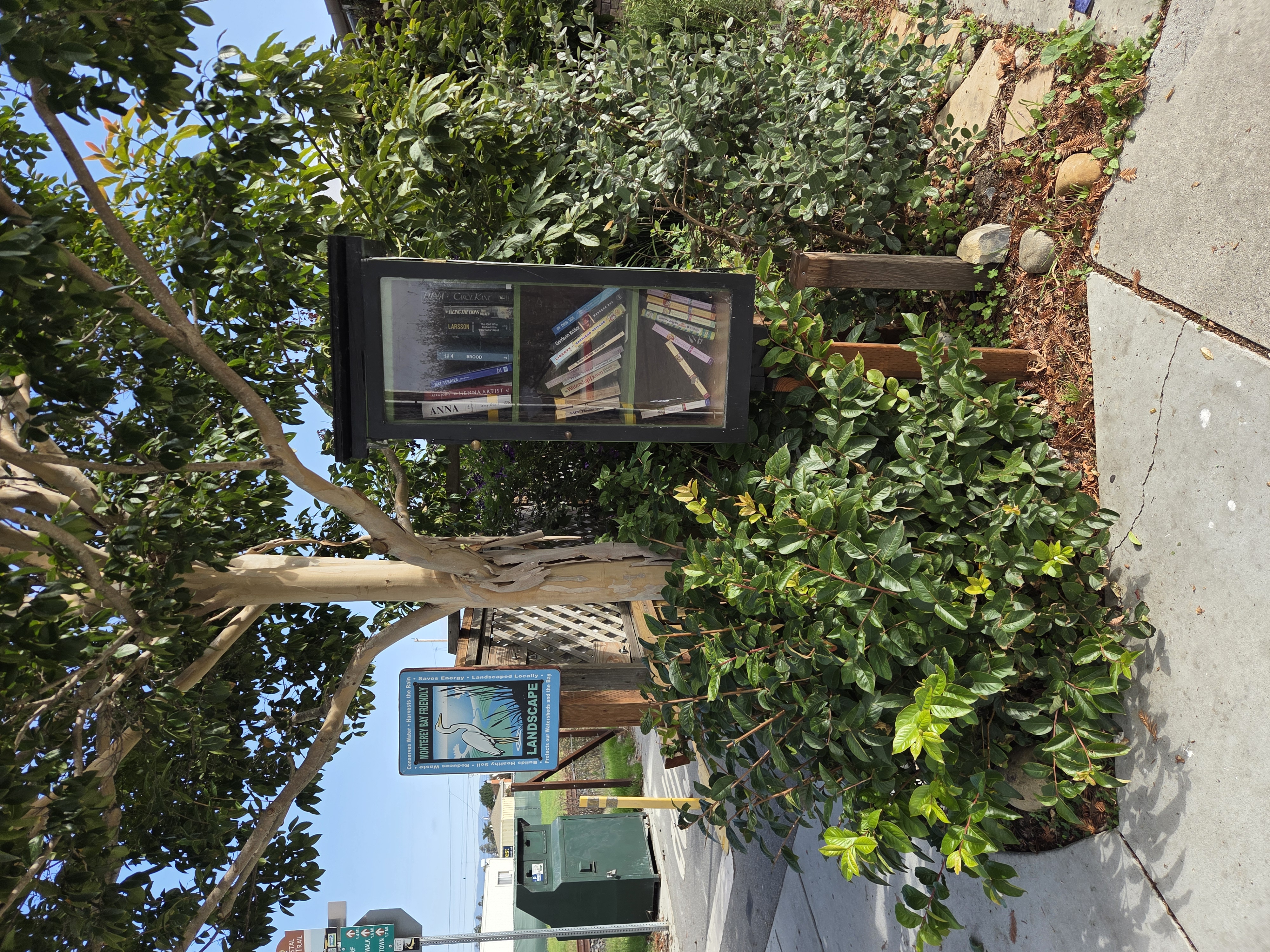 Little Library 5 